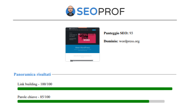 Esempio di un SEO Report di un sito web