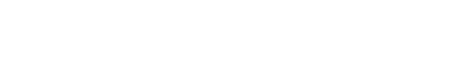 servizi seo